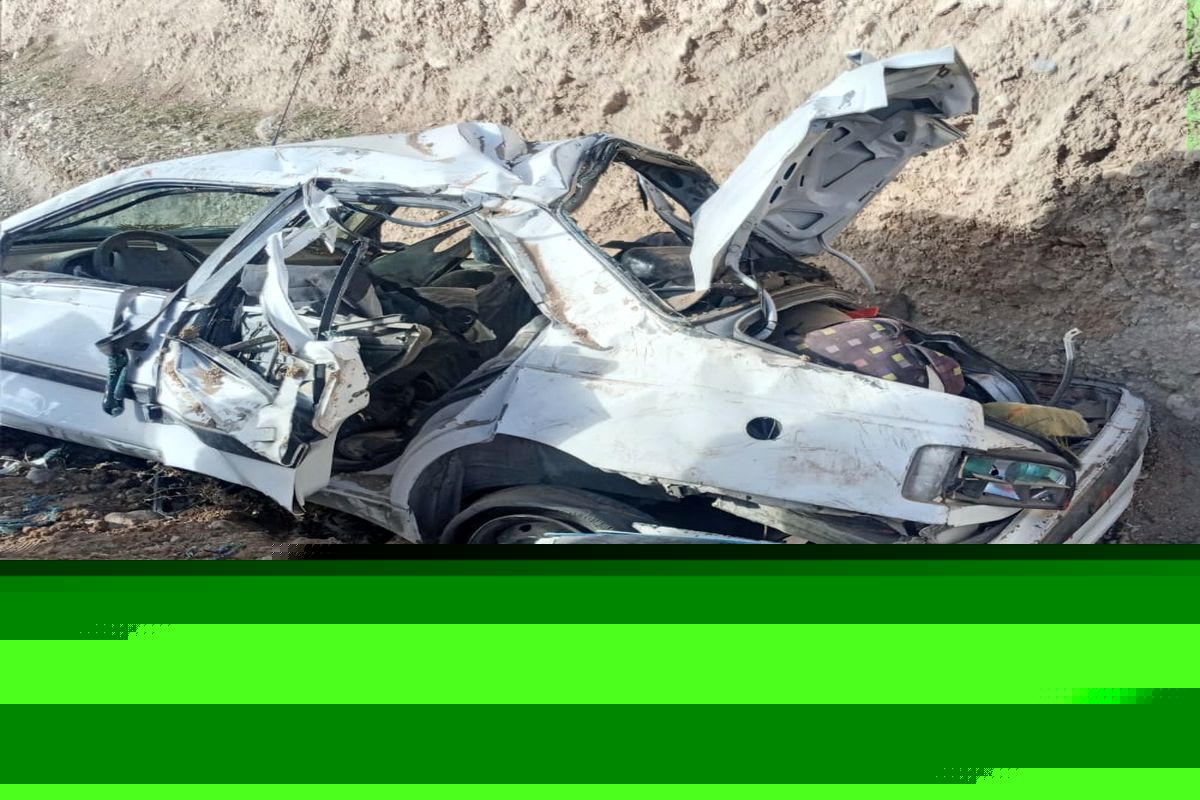 ۸ نفر اتباع افغانستانی در سانحه تصادف در حومه یاسوج مصدوم شدند