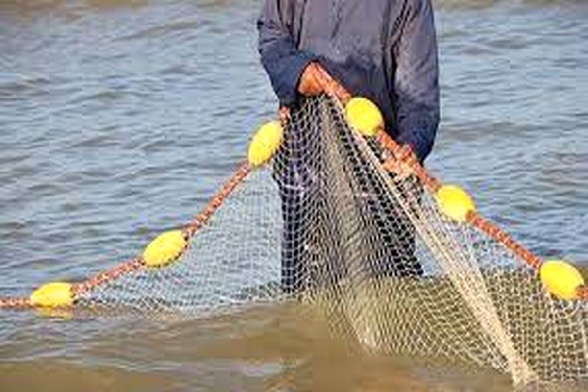 کشف بیش از ۴۷۰۰ رشته دام ماهیگیری در مازندران
