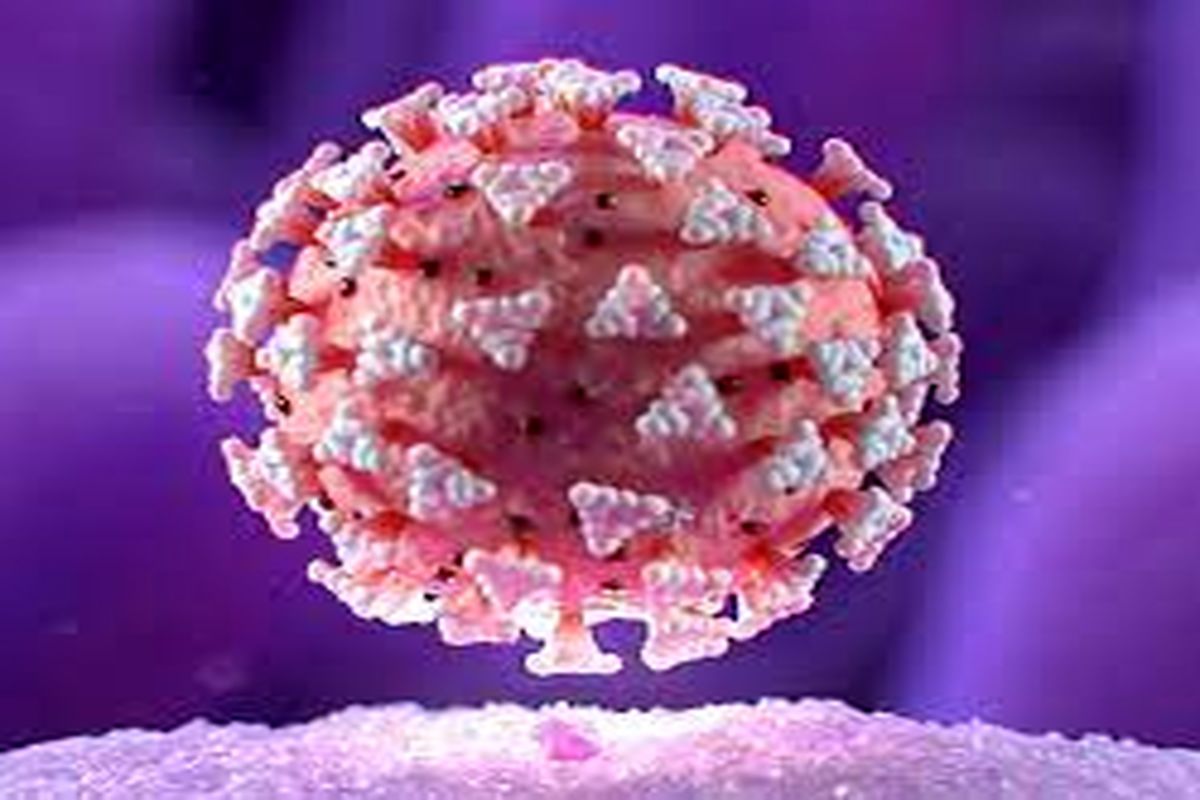 آخرین و جدیدترین آمارکرونایی استان اردبیل تا ۱۳ اسفند ۱۴۰۰