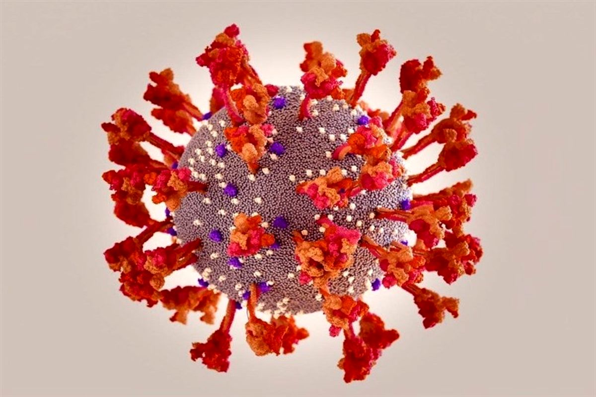 آخرین و جدیدترین آمار کرونایی استان کردستان تا ۱۴ اسفند ۱۴۰۰