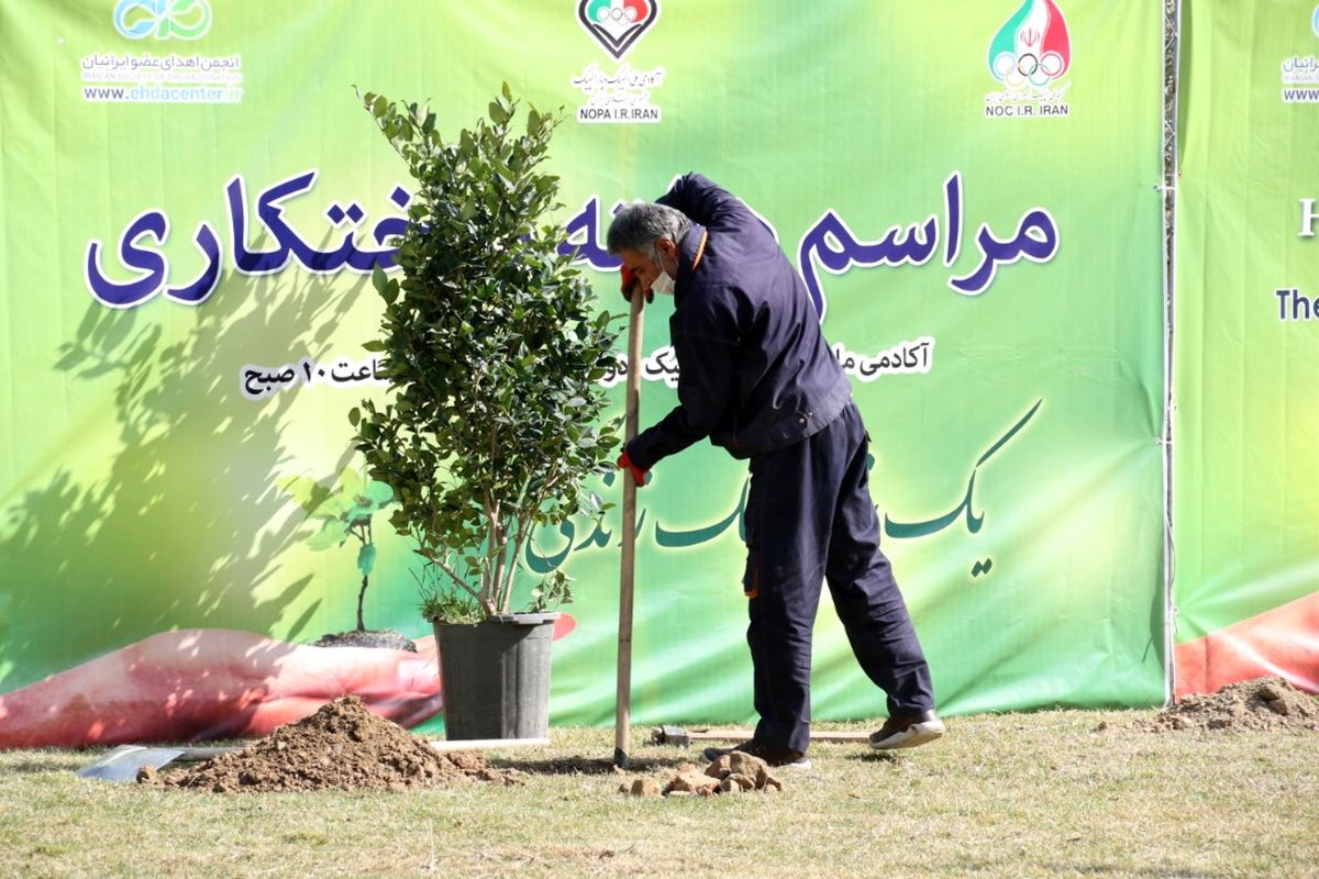 مراسم درختکاری بوستان المپیک برگزار می‌شود