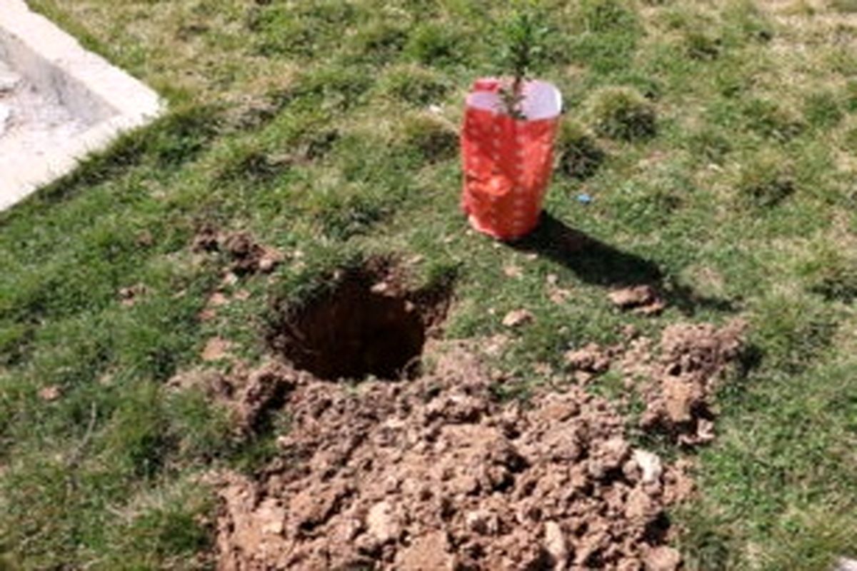 کاشت ۲ هزار نهال به همت تیپ ۴۸ فتح سپاه کهگیلویه و بویراحمد