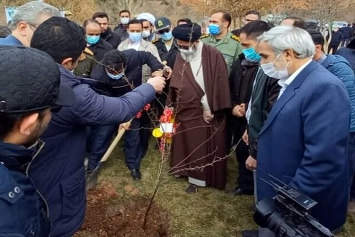 نماینده ولی‌فقیه در  آذربایجان‌شرقی و امام‌جمعه تبریز خواستار شد: برخورد قاطع با عاملین قطع درختان