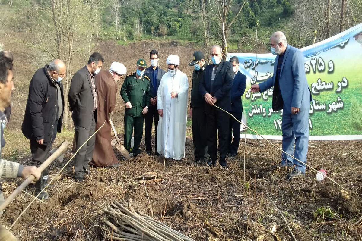 اجرای نهضت درختکاری با کاشت ۵۰ هزار نهال در موقوفات گیلان
