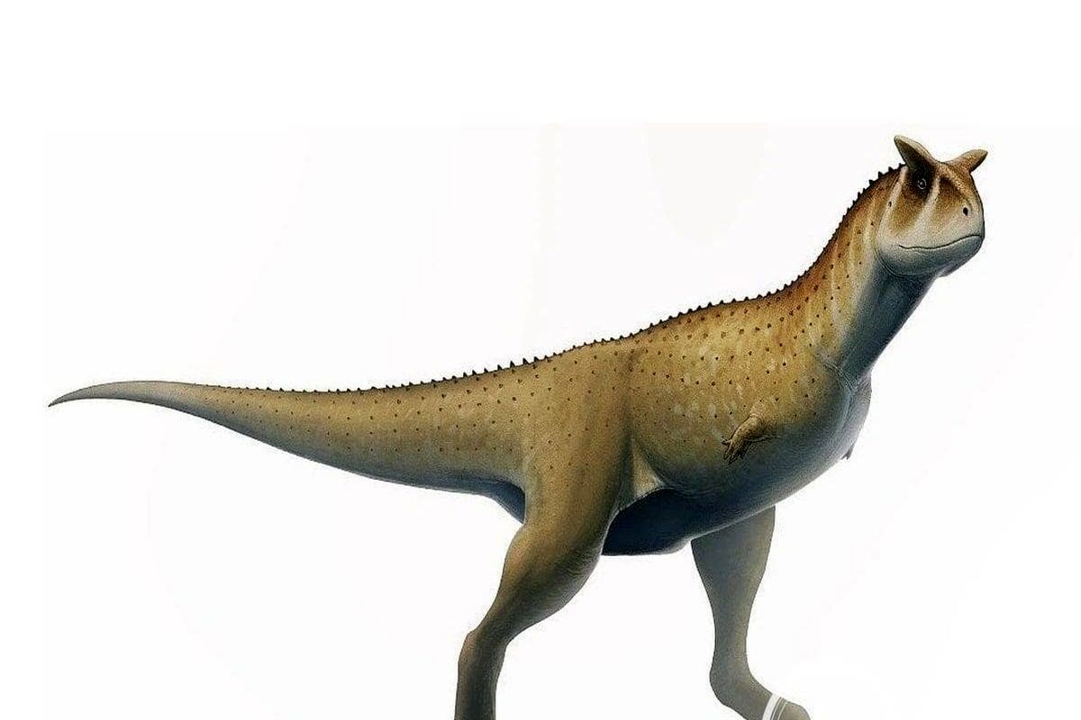 کشف یک دایناسور گوشتخوار بی دست