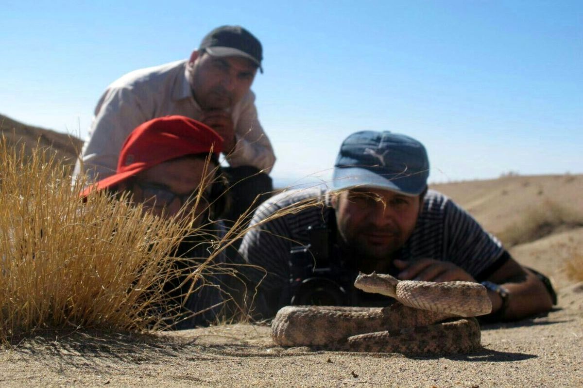 بازدید مخاطبان اردوزبان از «پارک ملی سیاه کوه»