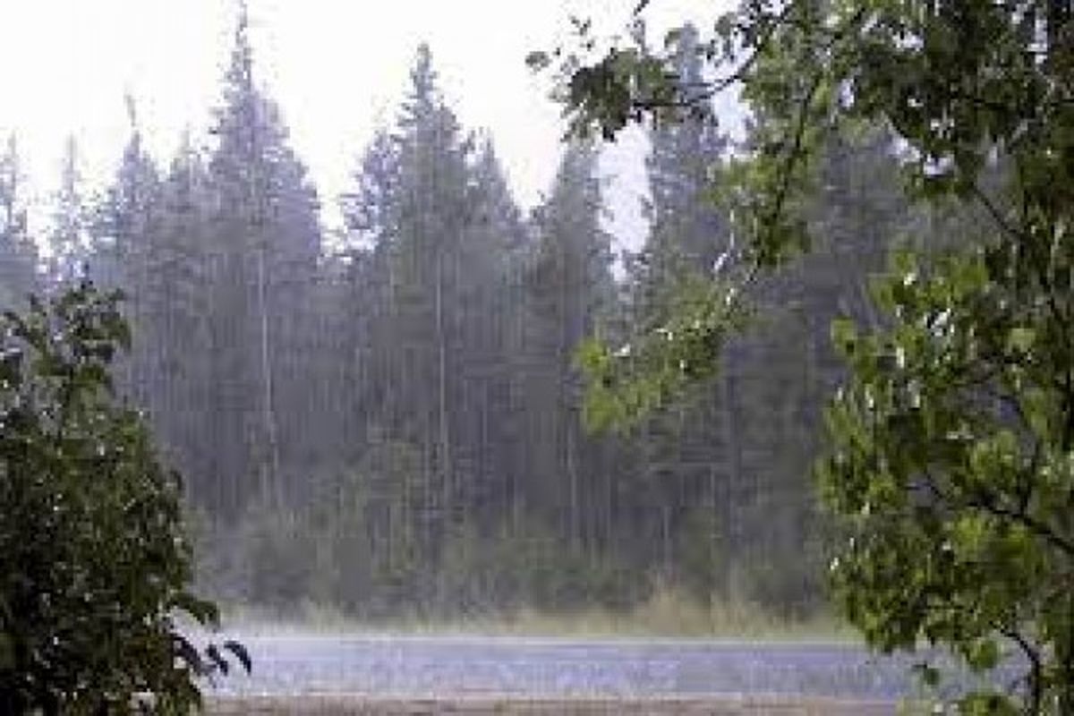 میانگین بارندگی استان کهگیلویه و بویراحمد به ۴۶۷.۲ میلی متر رسید