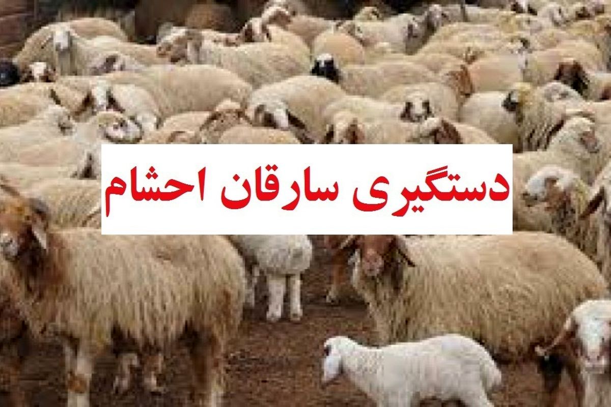 دستگیری  سارق احشام در یاسوج