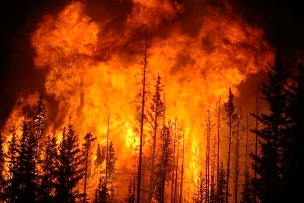 آتش ۱۵۲ هکتار از جنگل‌های مازندران را بلعید