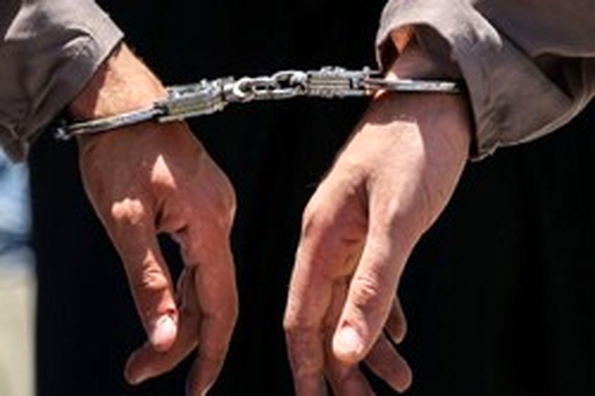 دستگیری ۲ سارق با ۳۵ فقره سرقت در بیرجند