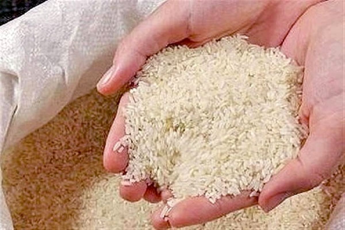 تهیه و توزیع برنج وارداتی بدون محدودیت در استان زنجان