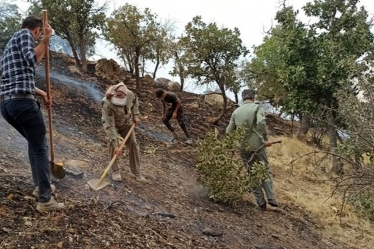 آتش‌ سوزی در منطقه حفاظت شده کوه دیل مهار شد/اعلام دلیل آتش‌سوزی