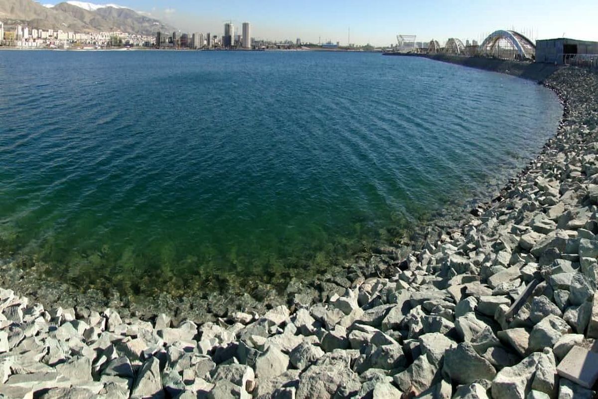 گود رها شده در مجموعه دریاچه شهدای خلیج فارس پس از ۷ سال پر شد