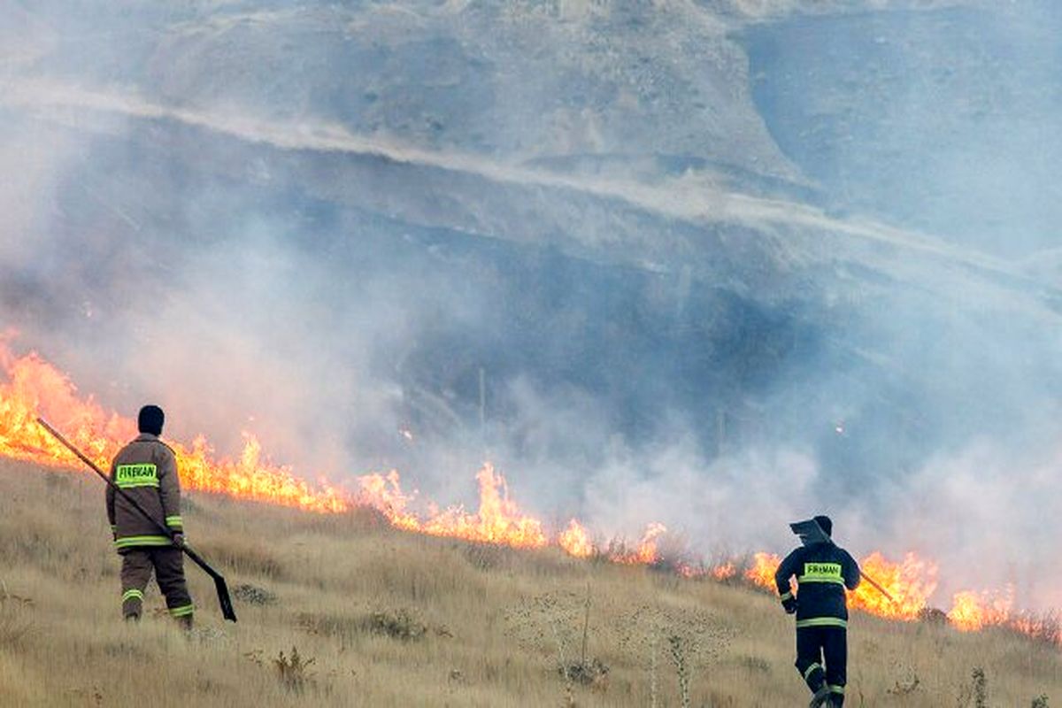 «آتش بُر» در ۳۳۰ هکتار از اراضی جنگلی شهرستان بهار ایجاد شد
