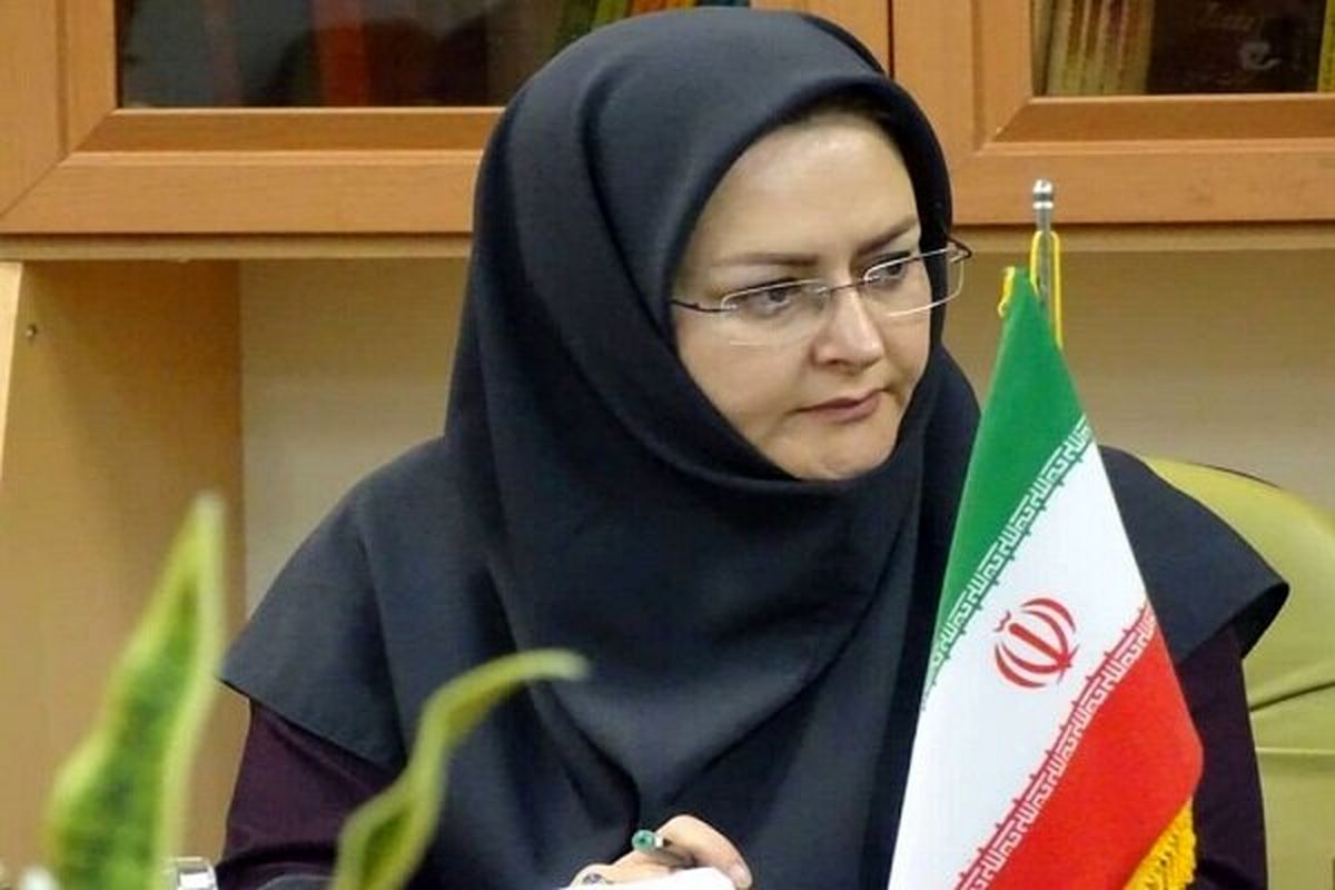 پیله‌وران برای دریافت کارت مبادلات الکترونیک مرزی ۲ هفته فرصت دارند