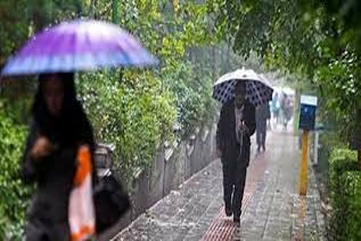 بارندگی ها در استان نسبت به سال قبل حدود ۴۷ درصد منفی است