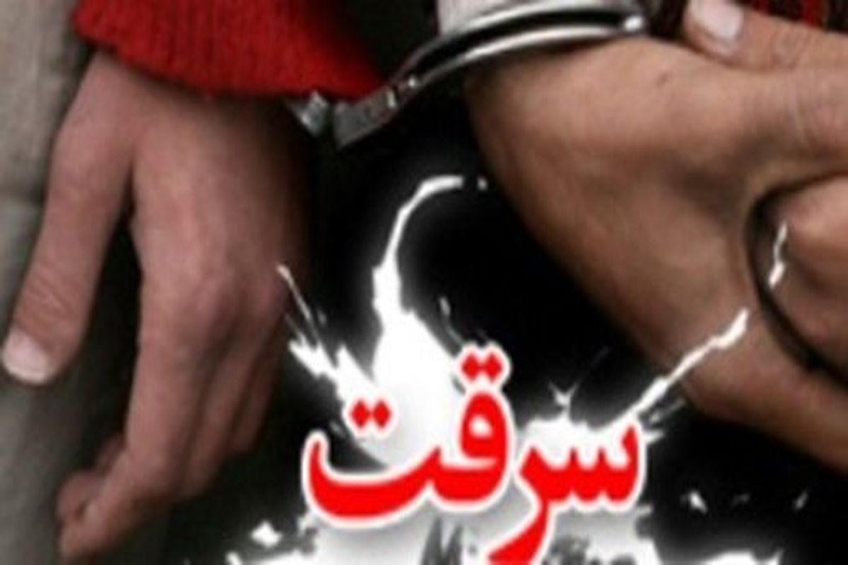 دستگیری زن سارق ۵ میلیاردی در "پوشش پرستار"