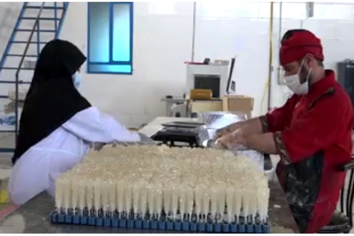 بازگشت ۳۰ واحد تولیدی راکد به چرخه تولید در کهگیلویه و بویراحمد