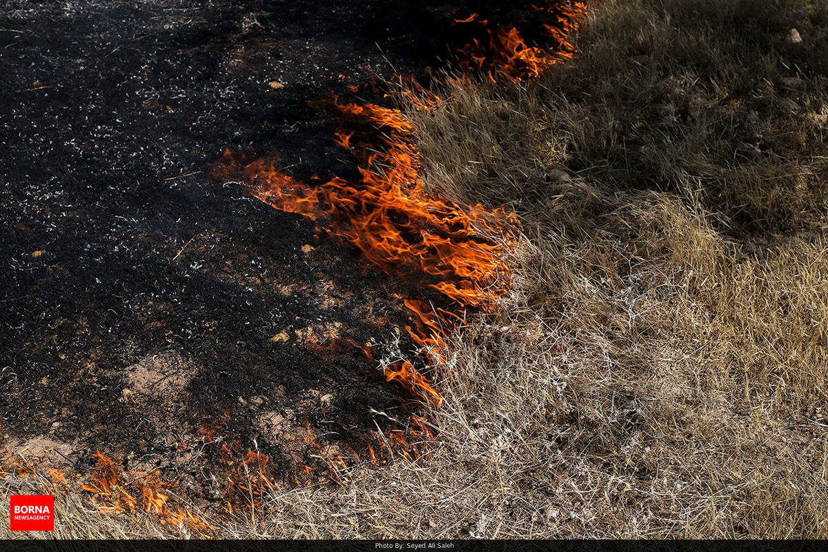 اختصاص بالگرد برای مهار حریق در زاگرس/ تماس با سامانه۱۵۰۴ و ۱۳۹ برای گزارش آتش سوزی در جنگل