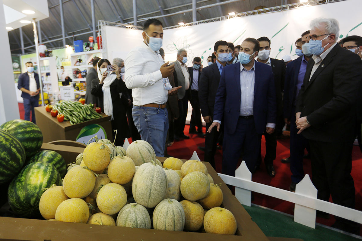 با ارائه محصولات کشاورزی در نمایشگاهها، توانمندی های فارس معرفی شوند