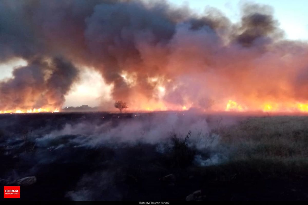 آخرین وضعیت آتش‌سوزی جنگل‌های گچساران