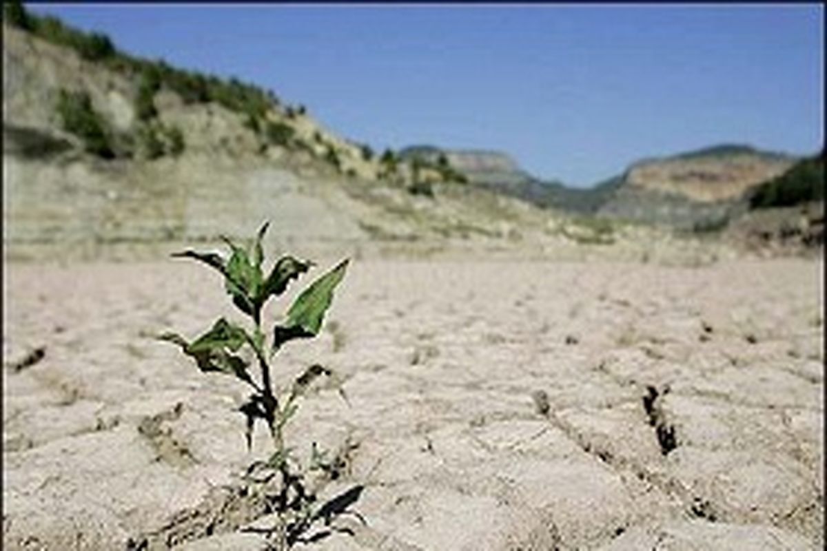 توصیه های هلال احمر برای مقابله با خشکسالی
