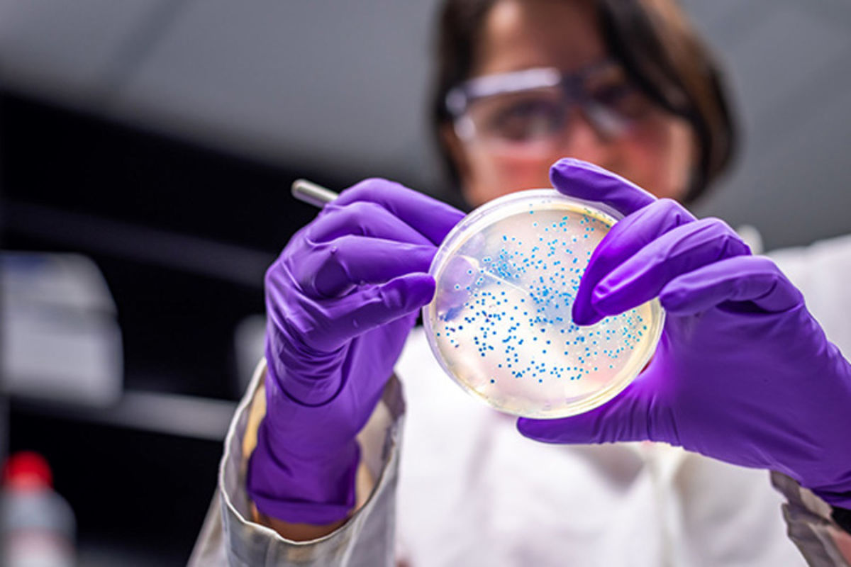 روشی جدید برای کاهش رشد باکتری‌ها