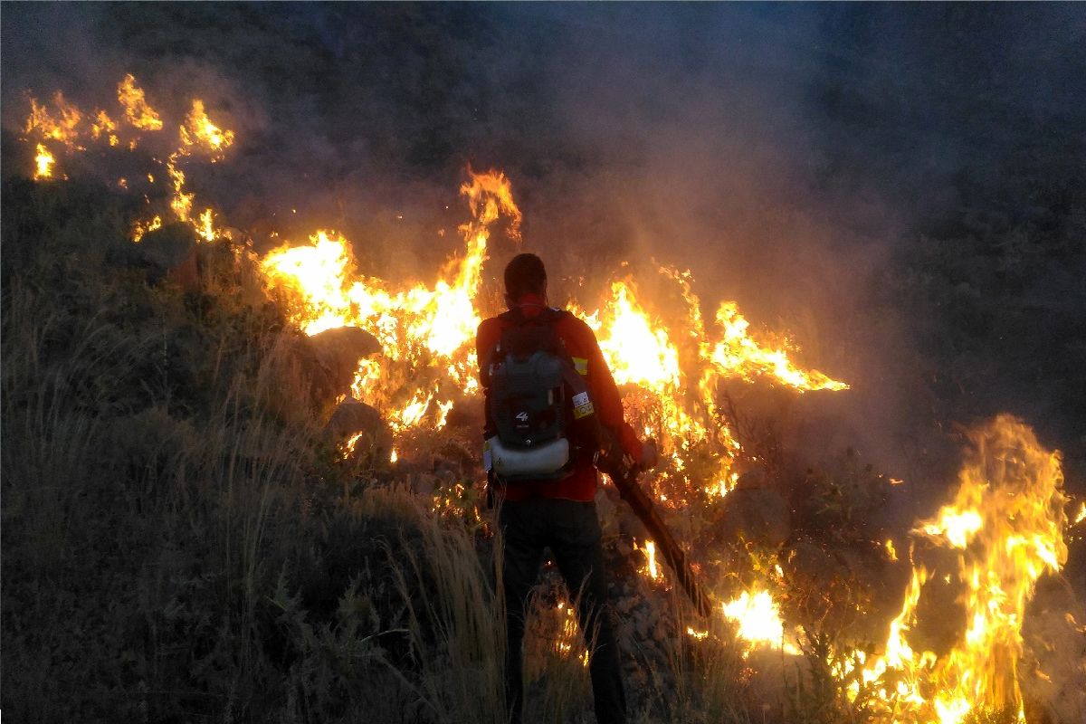 جوامع محلی با نیروهای اطفاء حریق منابع طبیعی در هنگام آتش سوزی همکاری کنند