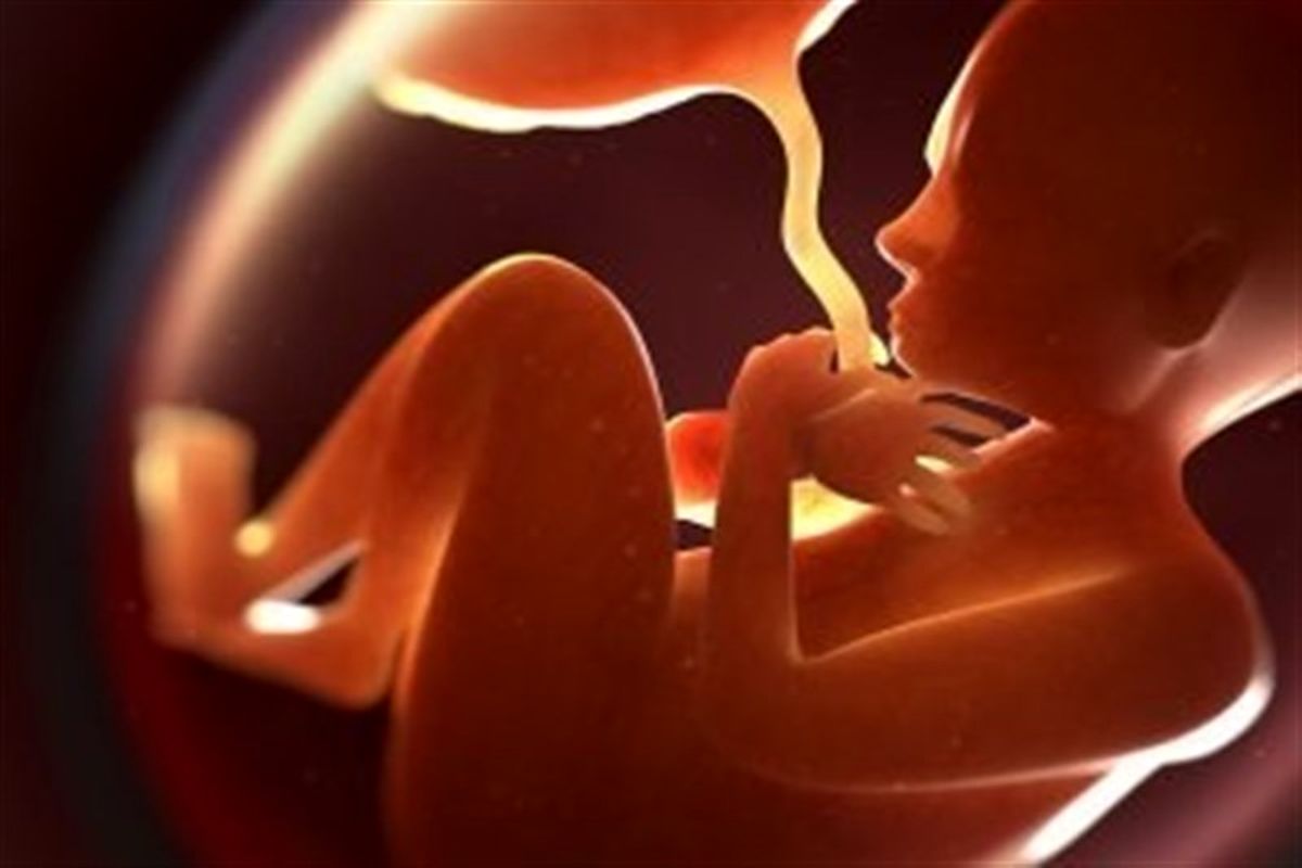 چه عوامل محیطی در دوره بارداری به جنین آسیب می‌رساند؟
