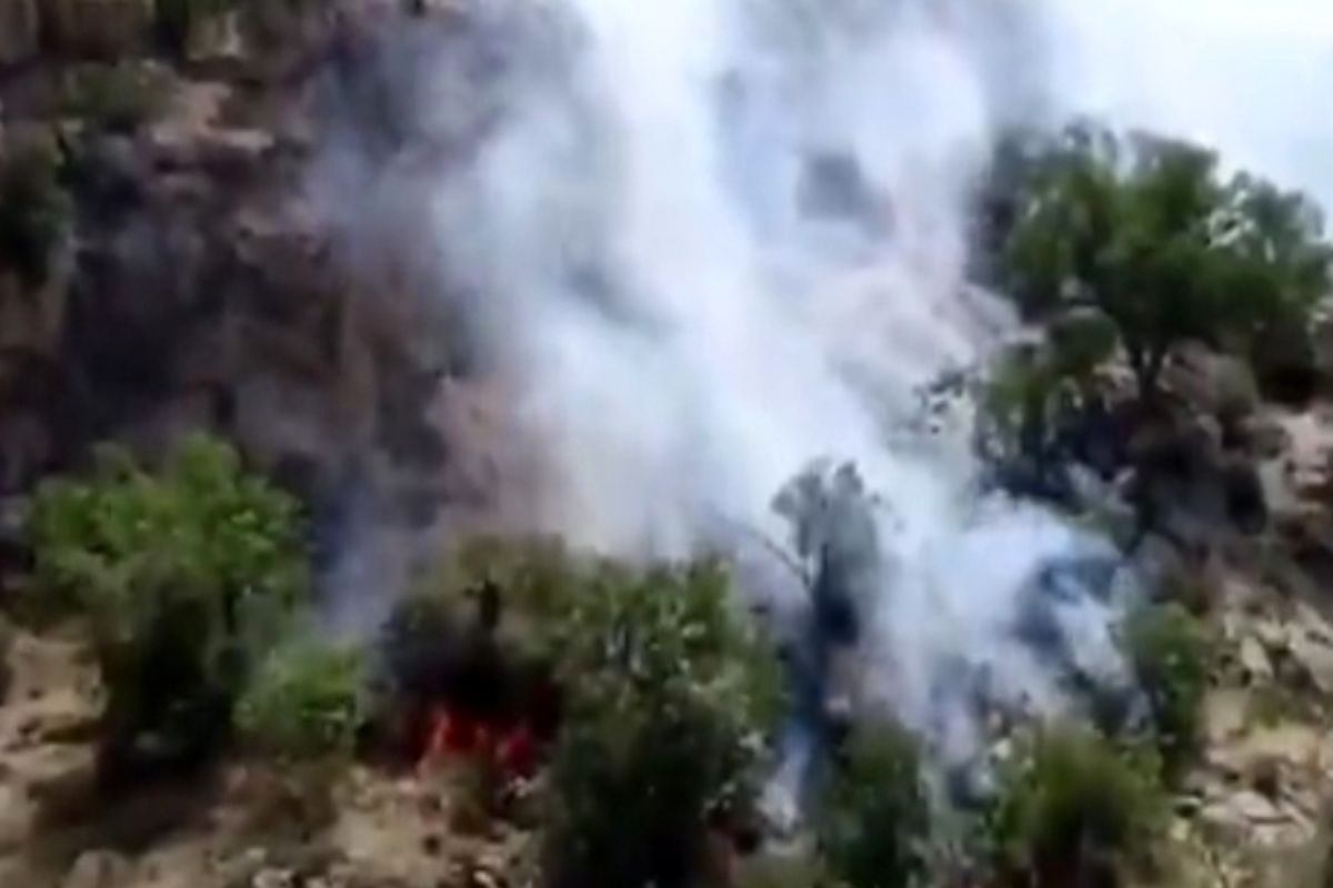 مهار آتش سوزی منطقه حفاظت شده کوه دیل گچساران
