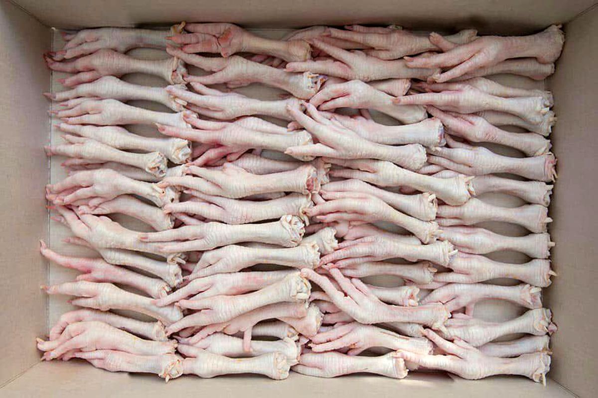 صادرات ۵۶۰ تن پای مرغ از لرستان به ویتنام