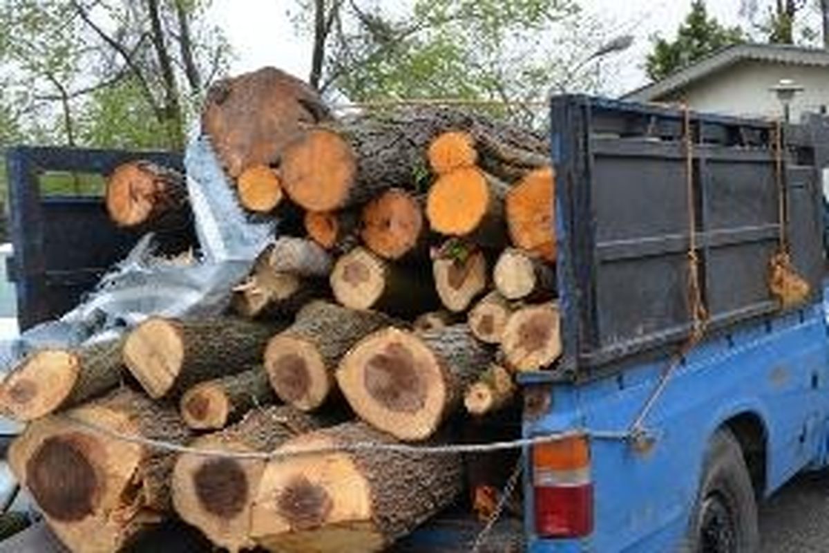 کشف ۲ تن چوب قاچاق  در گچساران