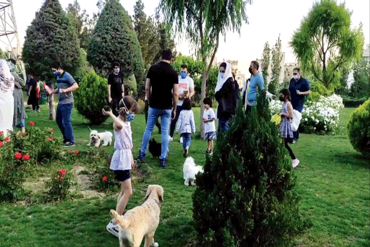 بررسی طرح "جدا سازی محل گردش حیوانات خانگی از محل بازی کودکان در بوستان ها" با قید یک فوریت