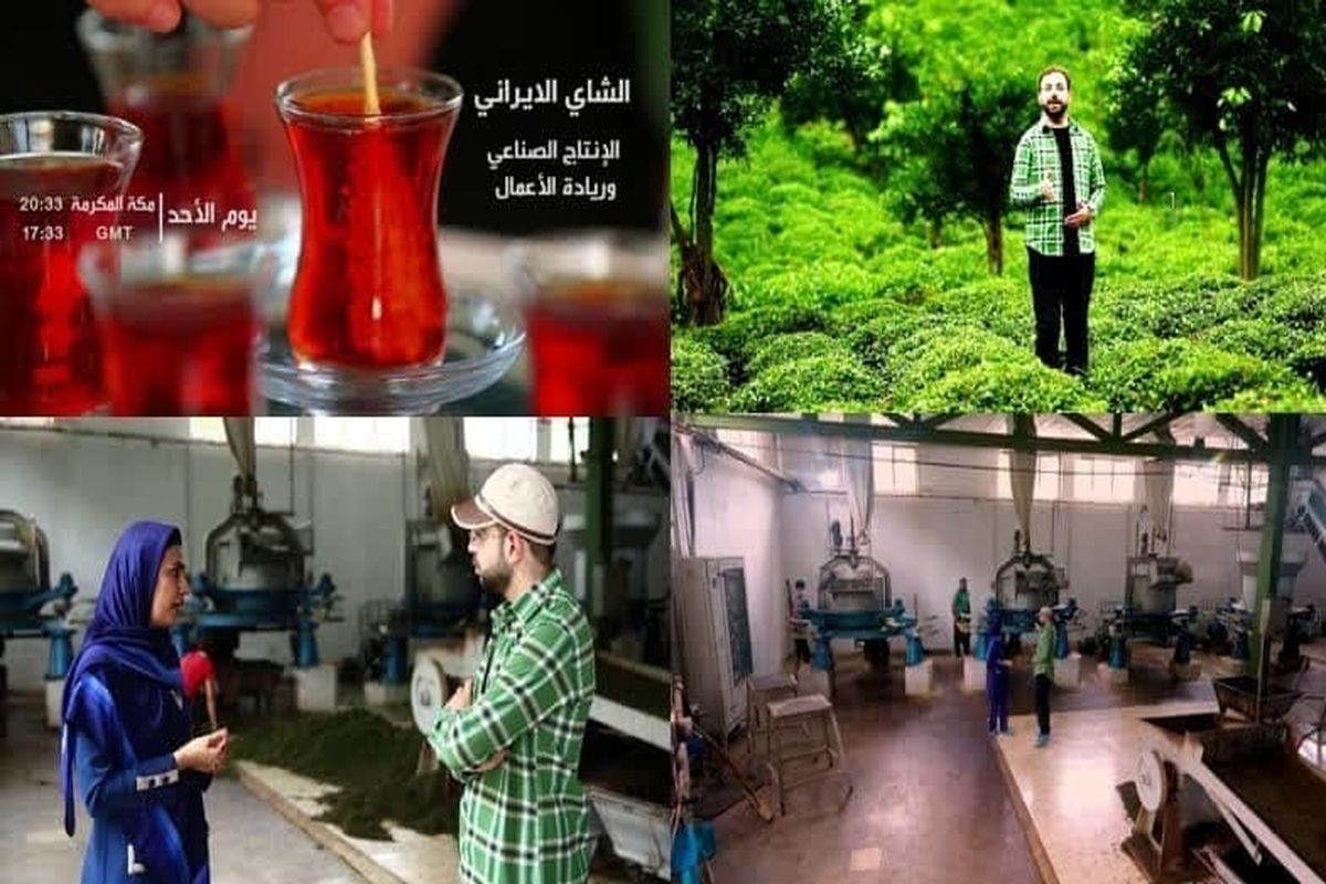 معرفی «چای ایرانی- تولید ملی» به مخاطبان عرب زبان