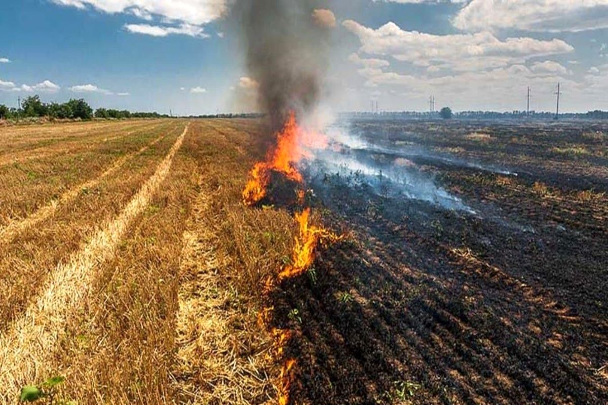 کشاورزان مراقب وقوع آتش‌سوزی در مزارع و اراضی کشاورزی باشند
