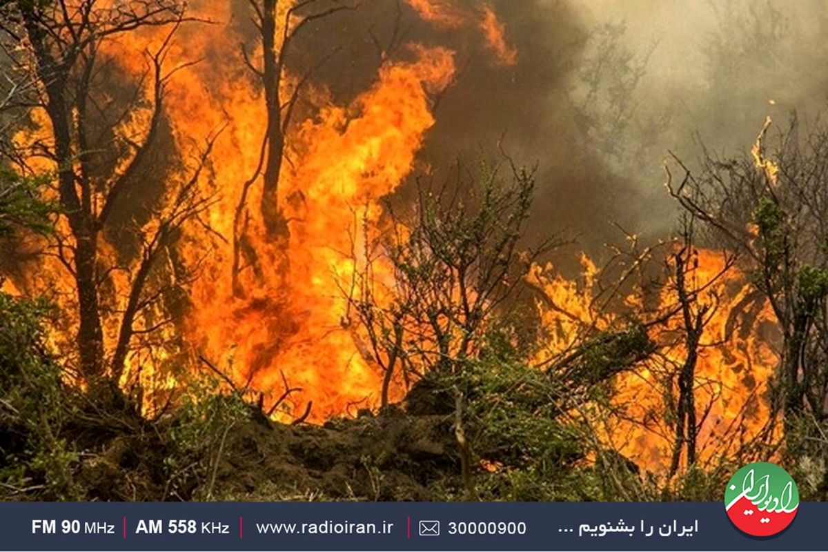 آخرین اخبار آتش سوزی جنگل های زاگرسی