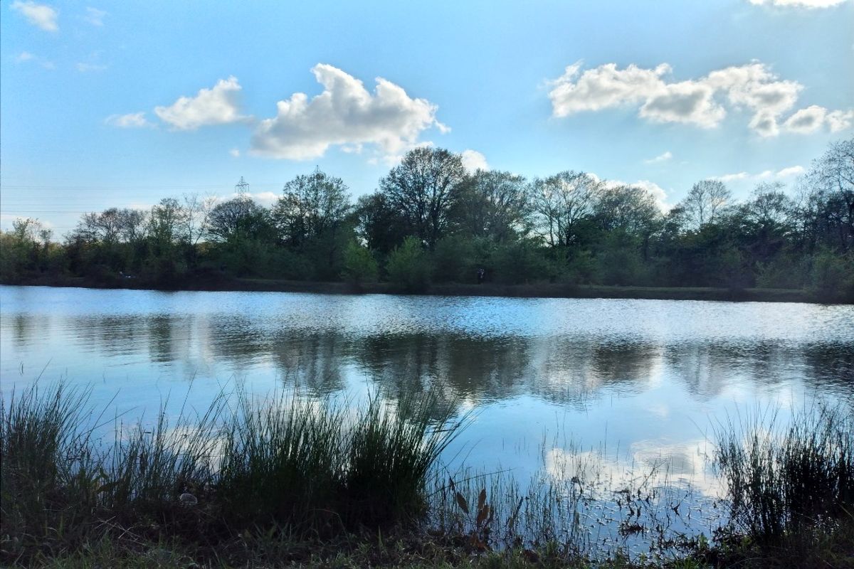 یک عنوان  برگزیده و دو شایسته تقدیر، رهاورد عکاسان گیلانی شد