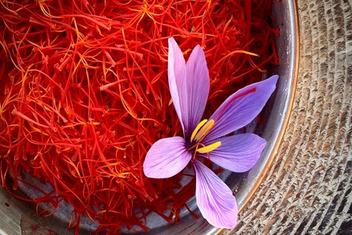 صادرات ۵۳ درصدی زعفران در بهار ۱۴۰۰