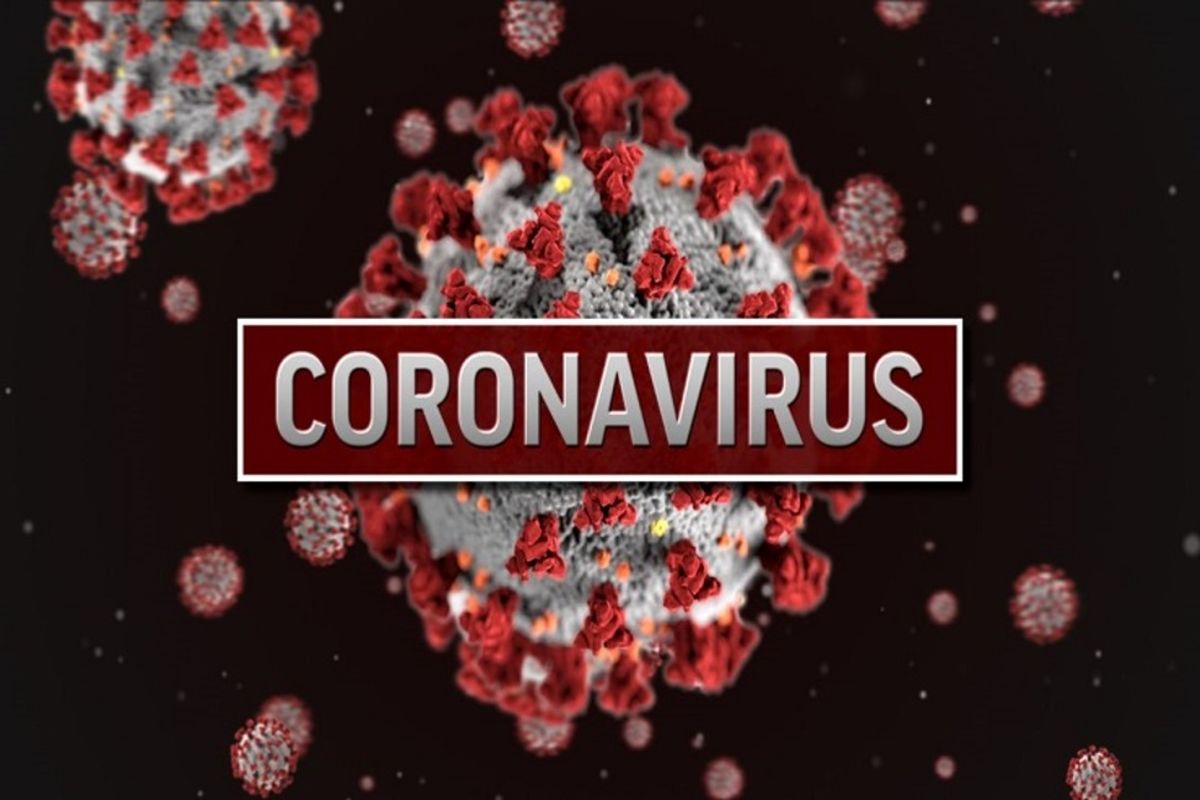 کشف یک روش جدید برای پیشگیری از تکثیر ویروس کرونا