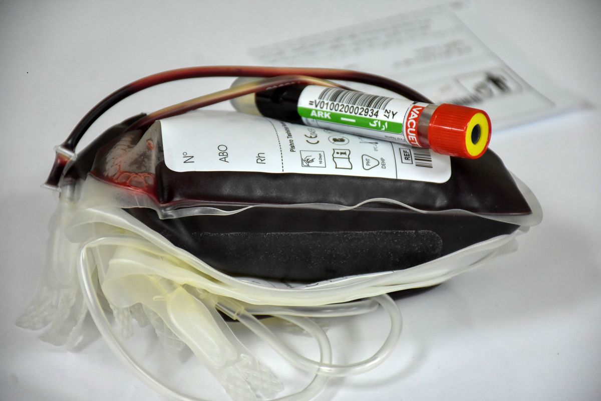 ارسال ۱۰۴۷ محموله خون در همه گیری کرونا به سیستان و بلوچستان