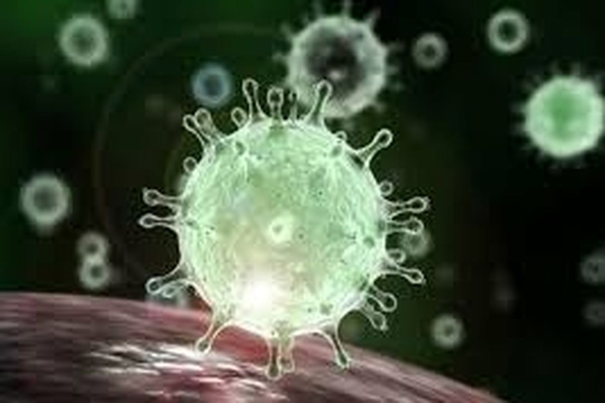 آخرین و جدیدترین آمار کرونایی استان کهگیلویه و بویراحمد تا ۳۱ تیر ۱۴۰۰