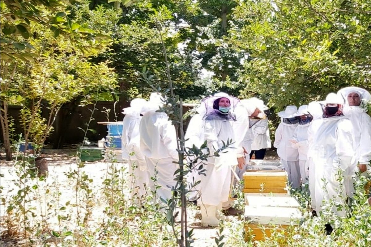 طرح توانمند سازی زنان زنبوردار روستایی و عشایری در شیراز