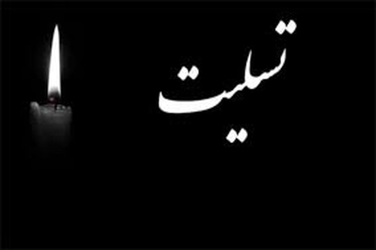پیام تسلیت مدیرخبرگزاری برنا استان تهران در پی درگذشت حجت السلام و المسلمین حسن دریاب نجفی