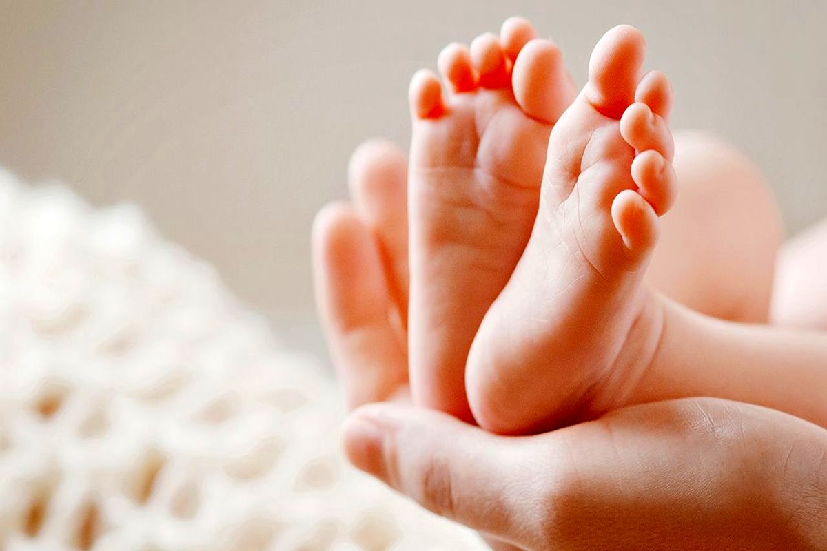 والدین ۳۰ تا ۳۴ ساله‌ بیشترین ولادت‌های ثبت شده را از آن خود کردند