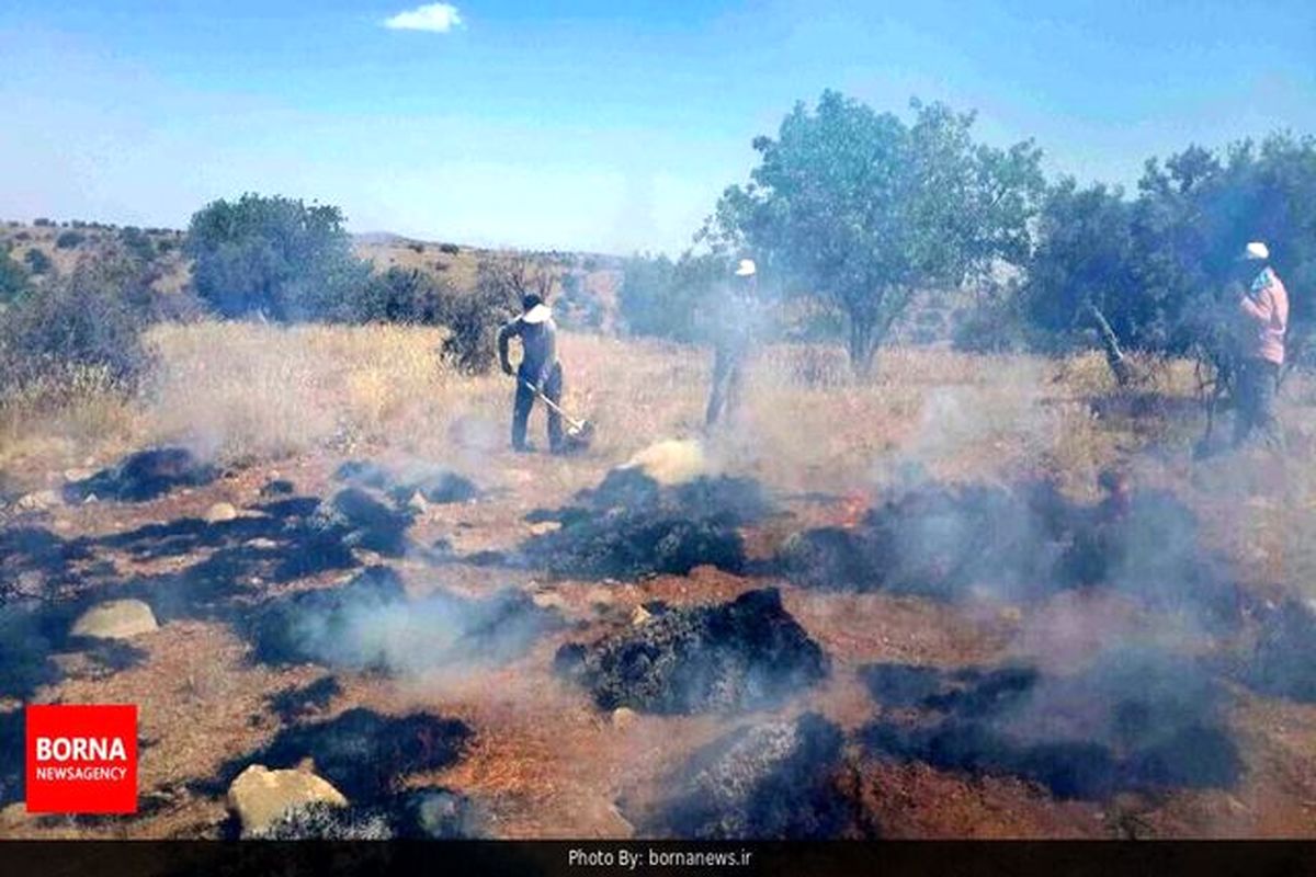 عدم کارایی بالگردهای اعزامی برای اطفای آتش سوزی جنگل‌های ارسباران