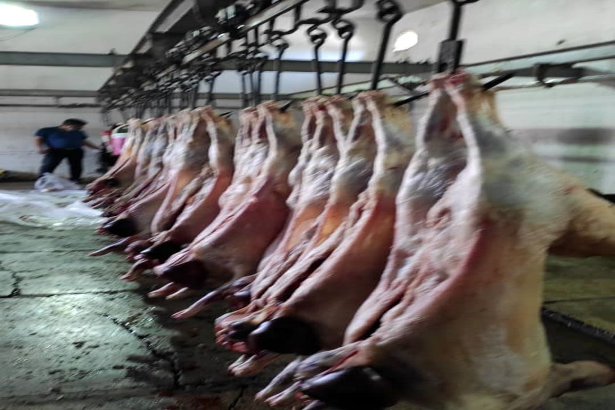 توزیع گوشت قربانی در بین نیازمندان قشم از سوی سازمان منطقه آزاد قشم