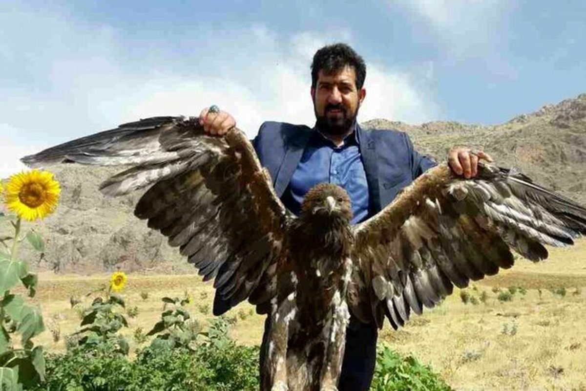 نجات یک بهله عقاب طلایی در زیرکوه