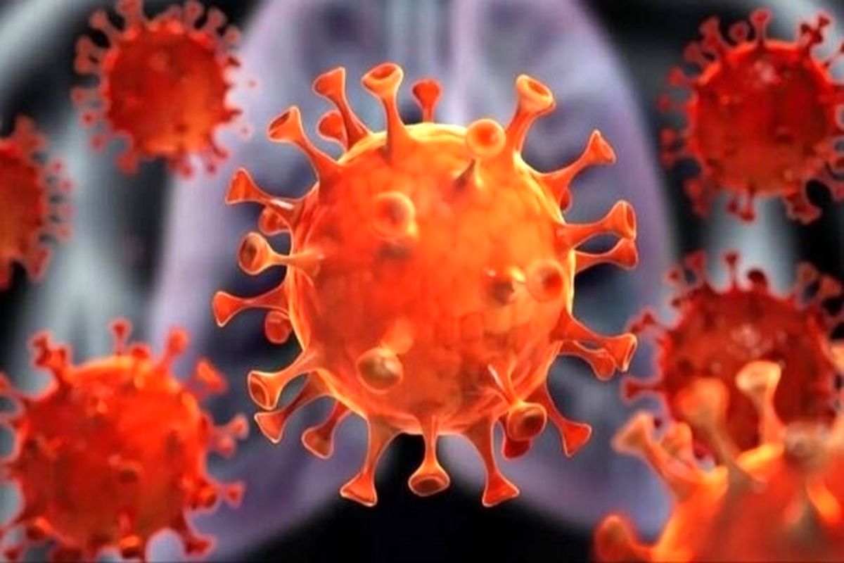 آخرین و جدیدترین آمار کرونایی استان کهگیلویه و بویر احمد تا ۲۰ مرداد ۱۴۰۰