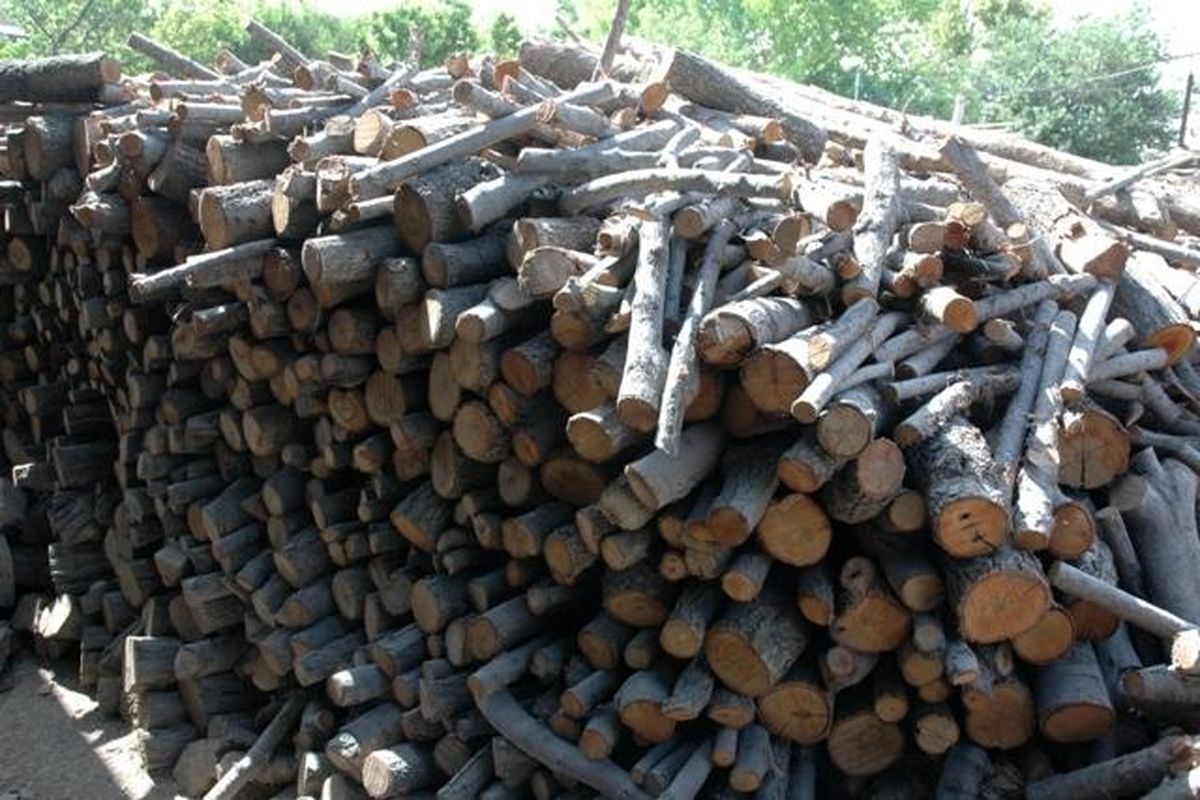 عاملان قطع درختان بلوط جنگل های زاگرس دستگیر شدند/کشف ۷۰۰کیلوگرم زغال غیر قانونی در "اندیکا"