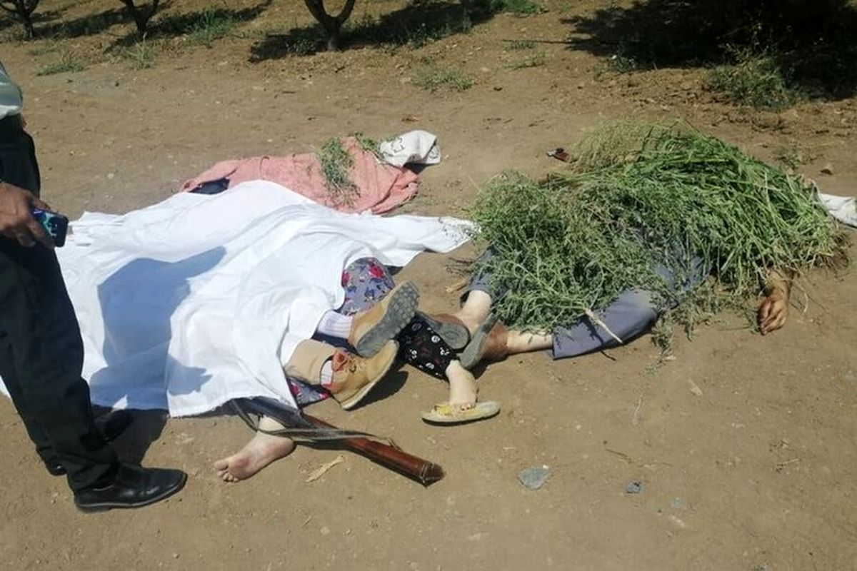 ماجرای هولناک قتل عام اعضای خانواده‌ سنندجی توسط استاد دانشگاه!+ عکس